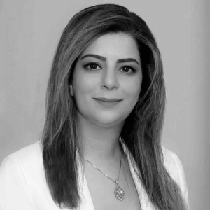 3 Bloomington Immigration Services