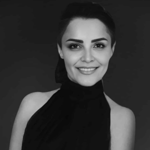 4 Bloomington Immigration Services